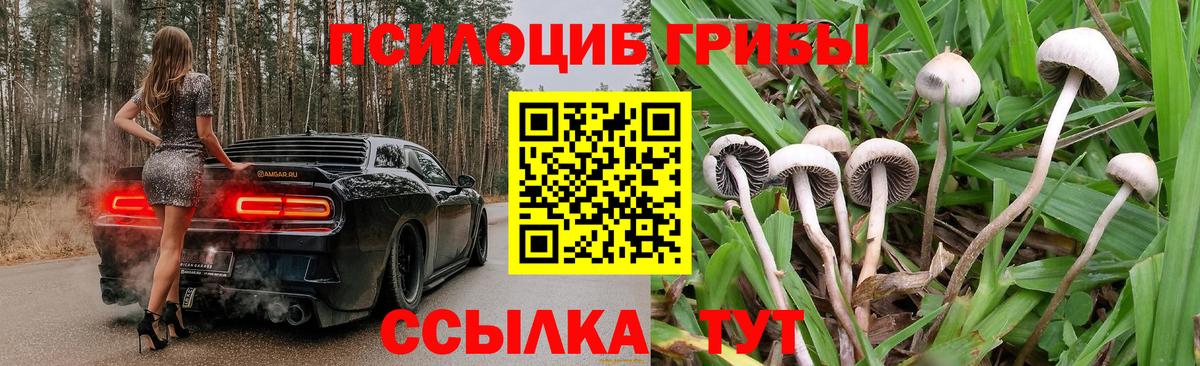 Псилоцибиновые грибы прущие грибы  Вход с VPN  Гудермес 